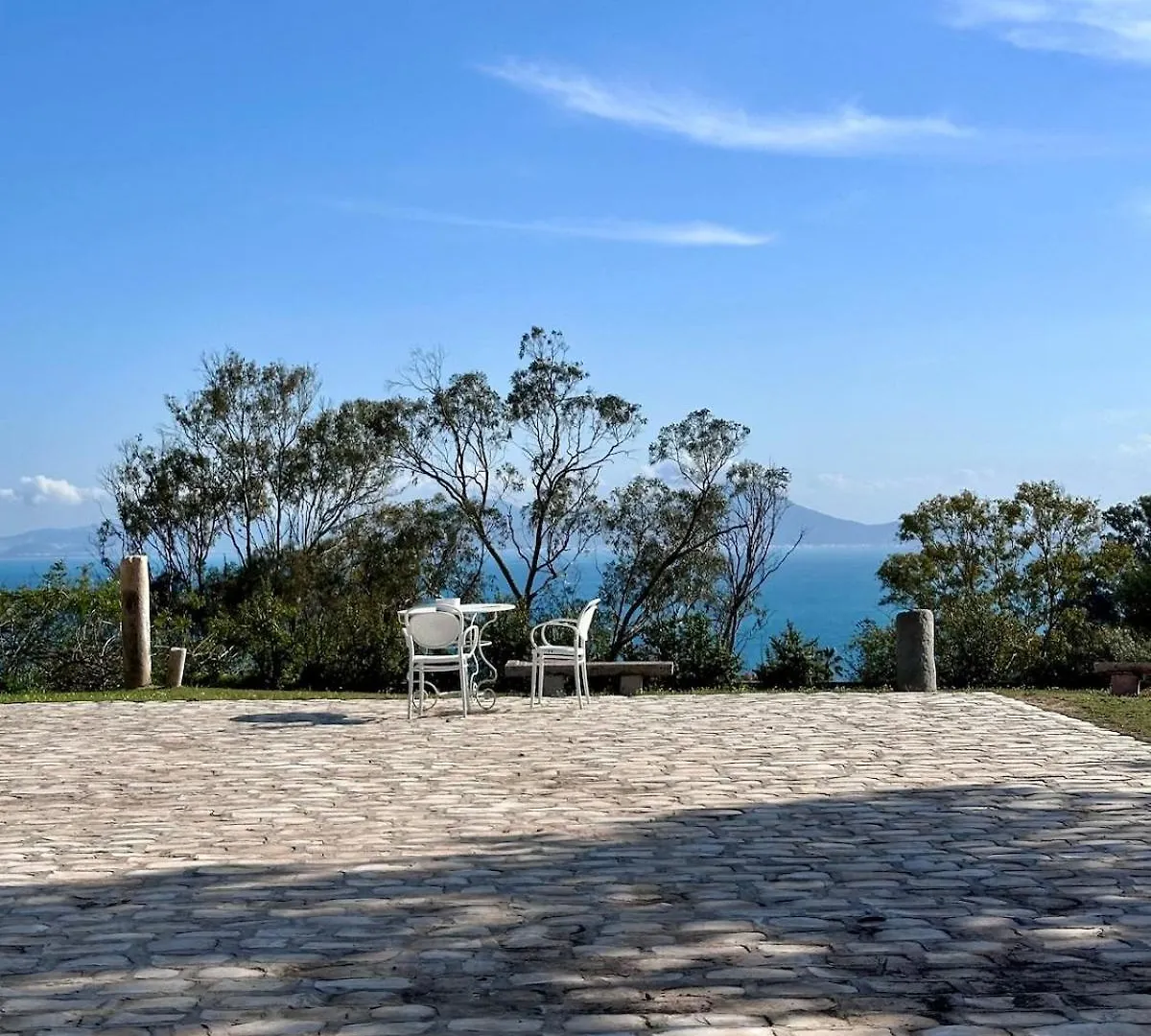 L'Atelier Hedi Turki, Breakfast & Pool Sidi Bou Said Apartment Tunis Tunisia